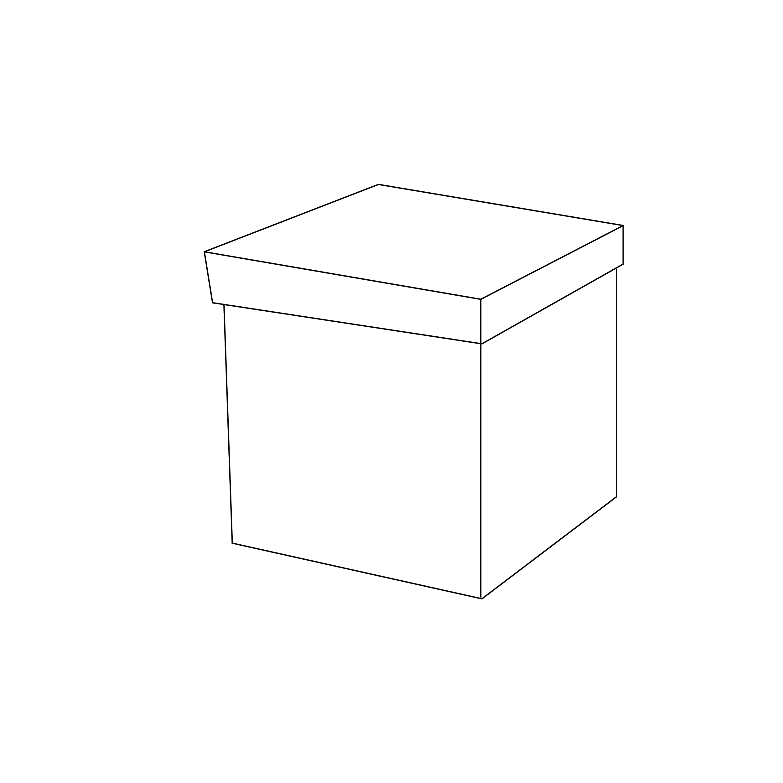 FOLDABLE STORAGE  OTTOMAN